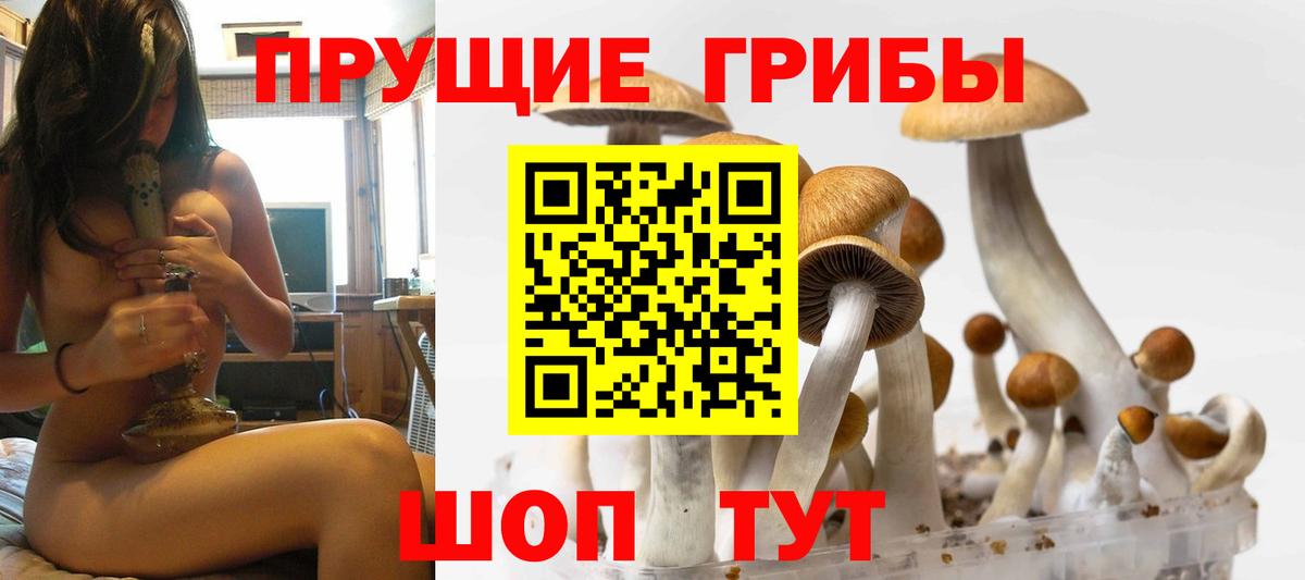 Псилоцибиновые грибы мицелий Прокопьевск
